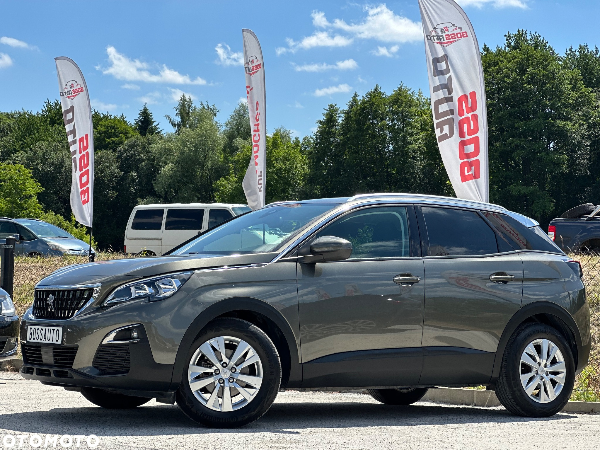 Peugeot 3008 1.6 BlueHDi Allure S&S EAT6 - 12