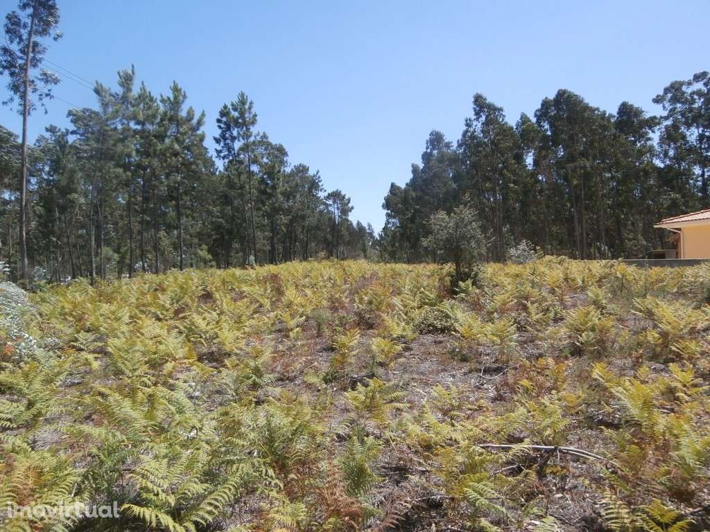 Terreno(s) para construção em Recardães (venda judicial - verba n.º... - Grande imagem: 2/8