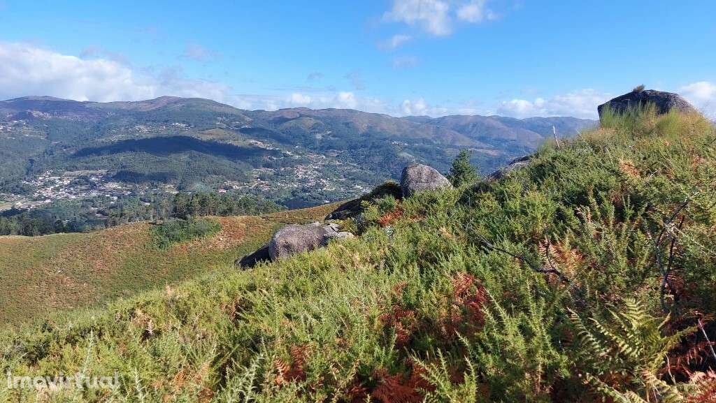 Bouça - Sequeiros - Grande imagem: 5/13