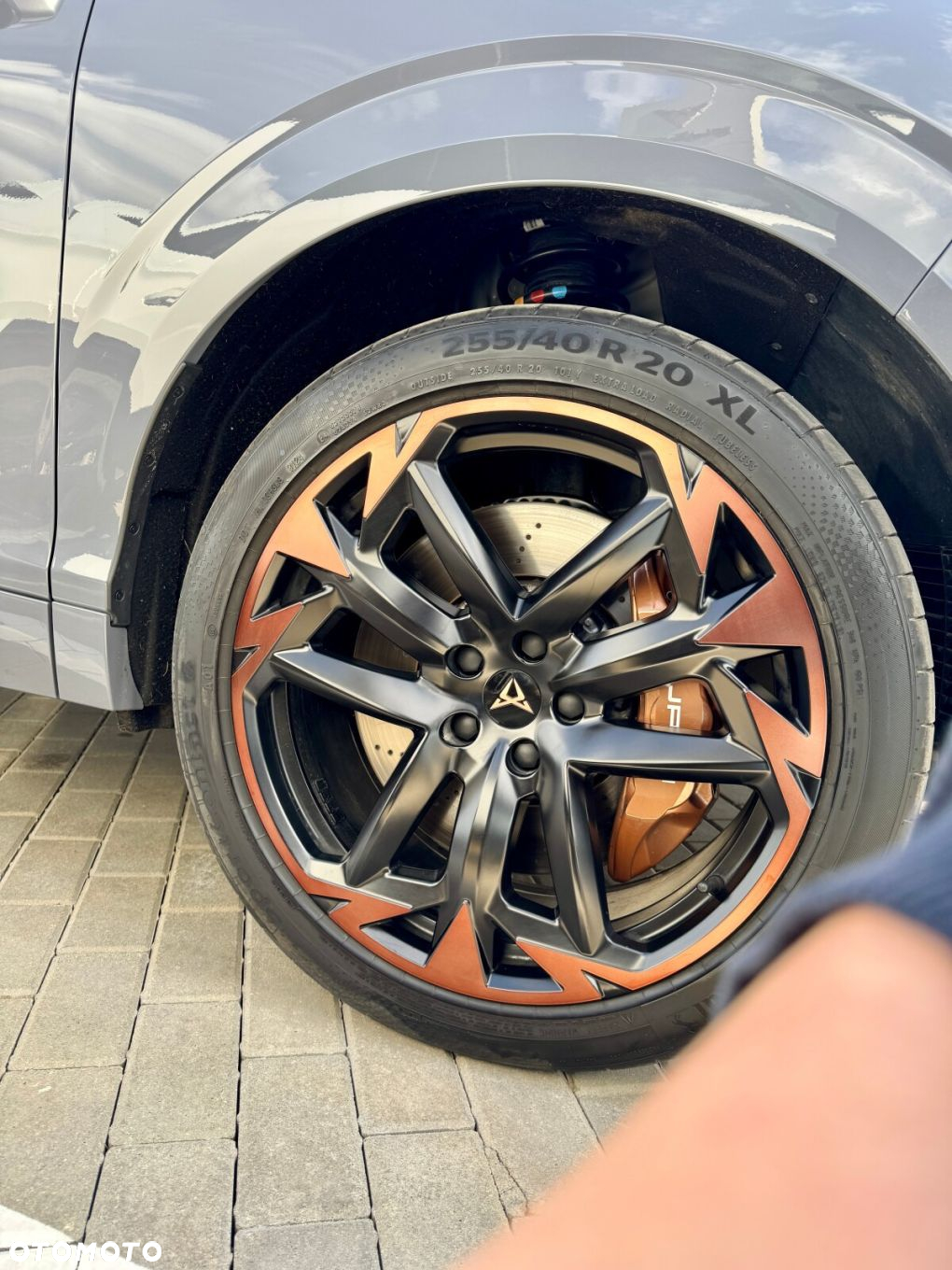 Cupra Terramar 2.0 TSI 4Drive VZ DSG - 33