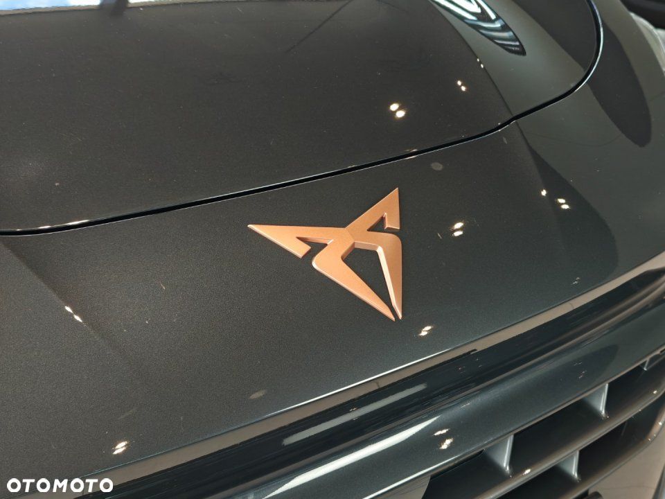 Cupra Terramar - 5