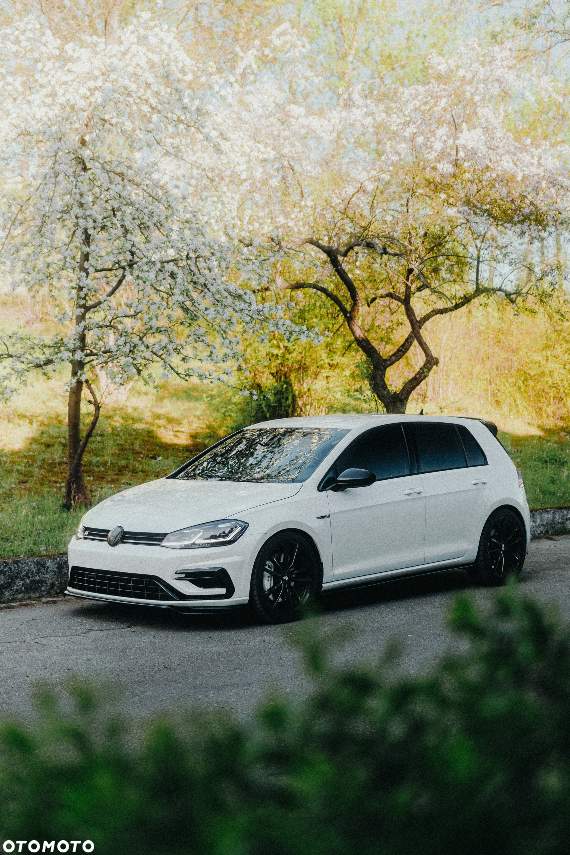 Volkswagen Golf R 4Motion (BlueMotion Technology) DSG - 28