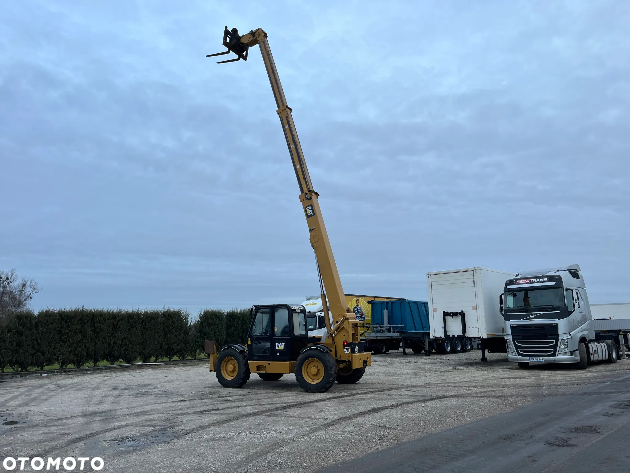 Caterpillar - 4