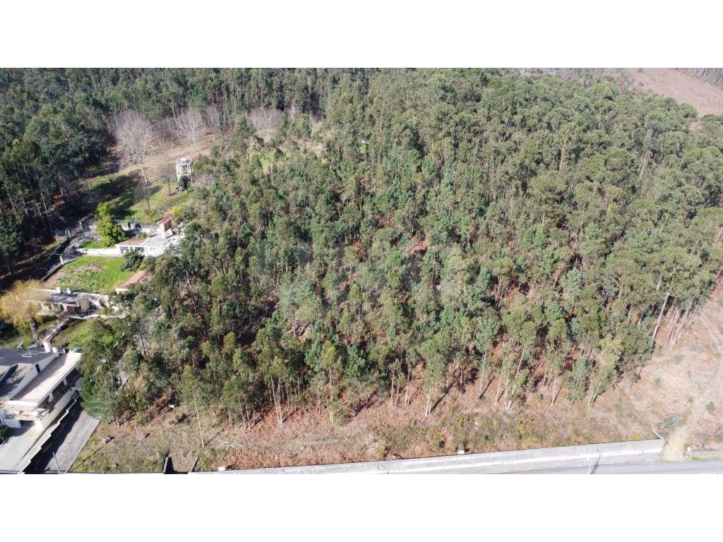 Terreno urbano c/ 3.354m2| Projeto Aprovado para 2 Moradias | Sta. ... - Grande imagem: 5/11