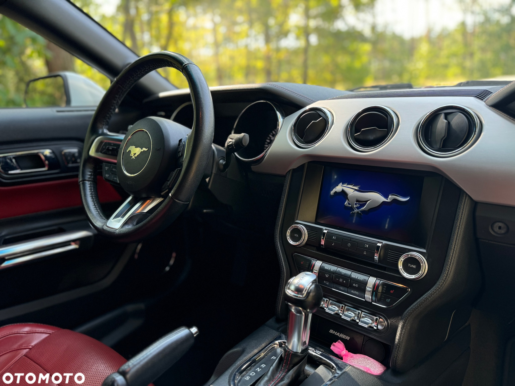 Ford Mustang - 9