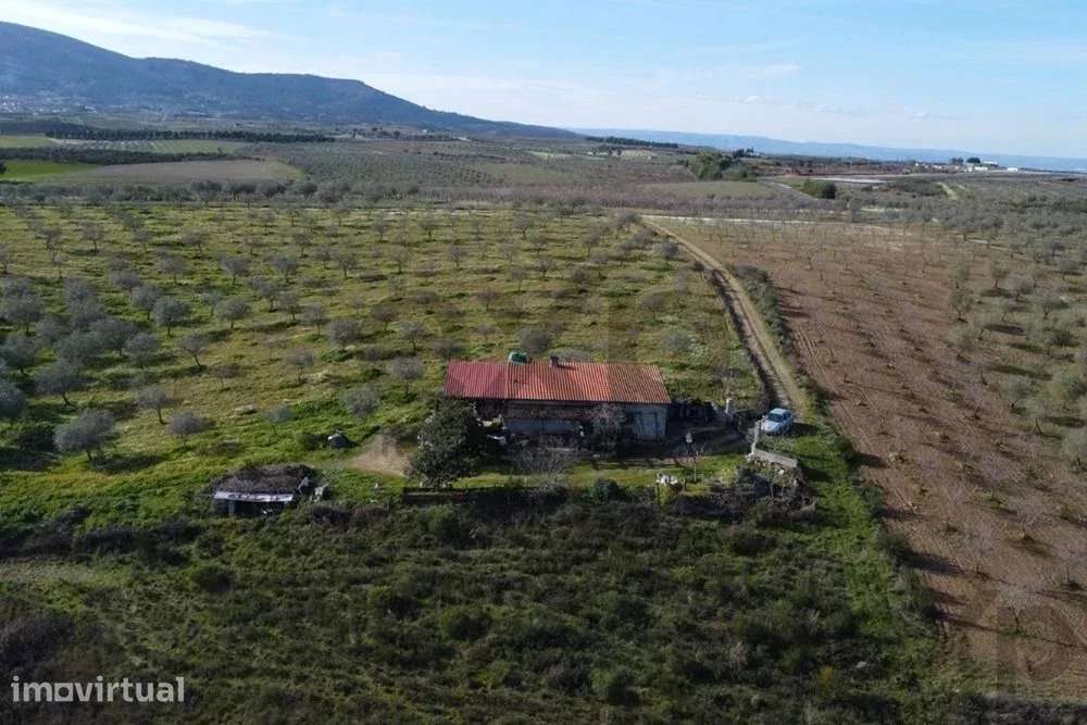 Encantadora Pequena Quinta à Venda nos Passos – O Refúgio Perfeito da - Grande imagem: 2/9