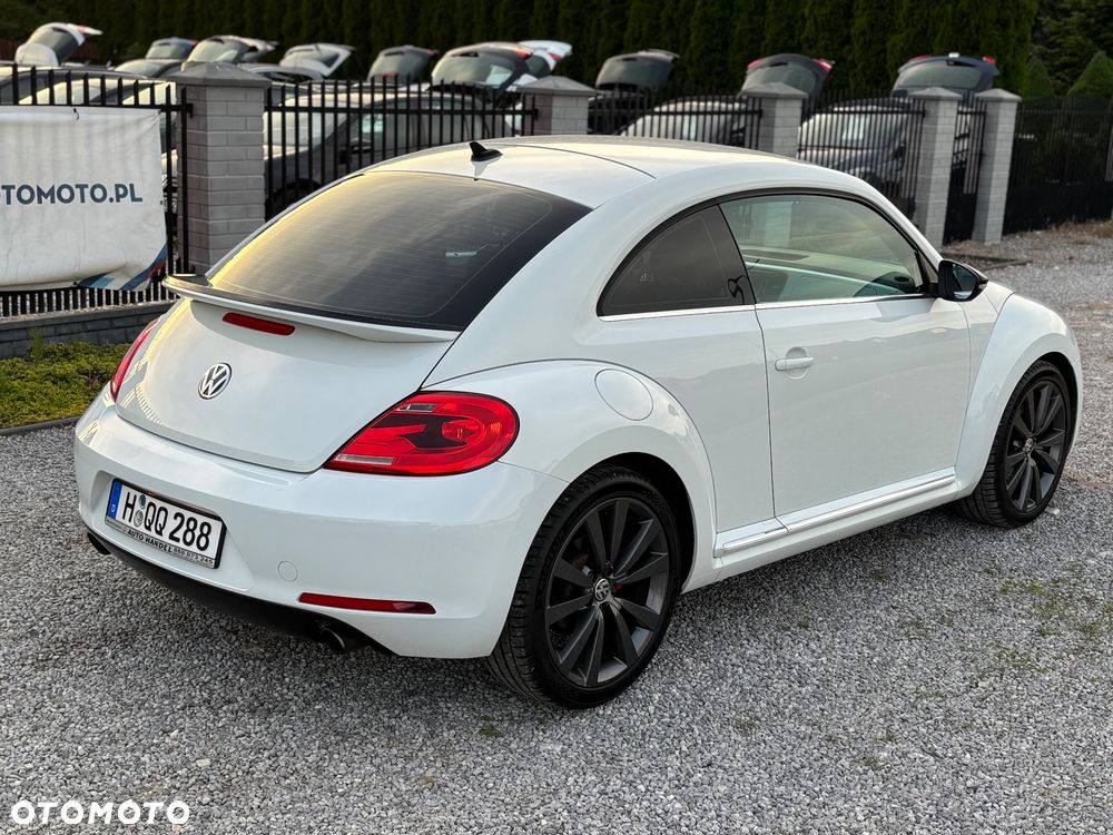 Volkswagen Beetle - 26