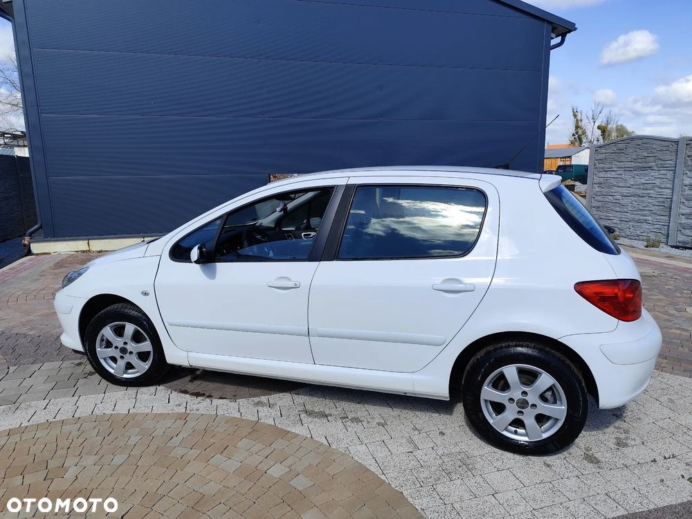 Peugeot 307 1.6 HDI Trendy - 14