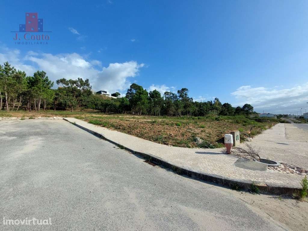 Terreno tipo quintinha, Caldas da Rainha - Grande imagem: 3/18