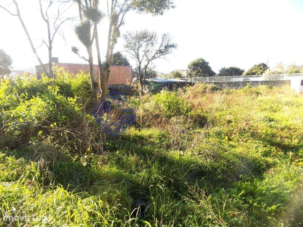 Terreno Plano-Baixa de Preço!-Excelente Oportunidade! - Grande imagem: 5/5