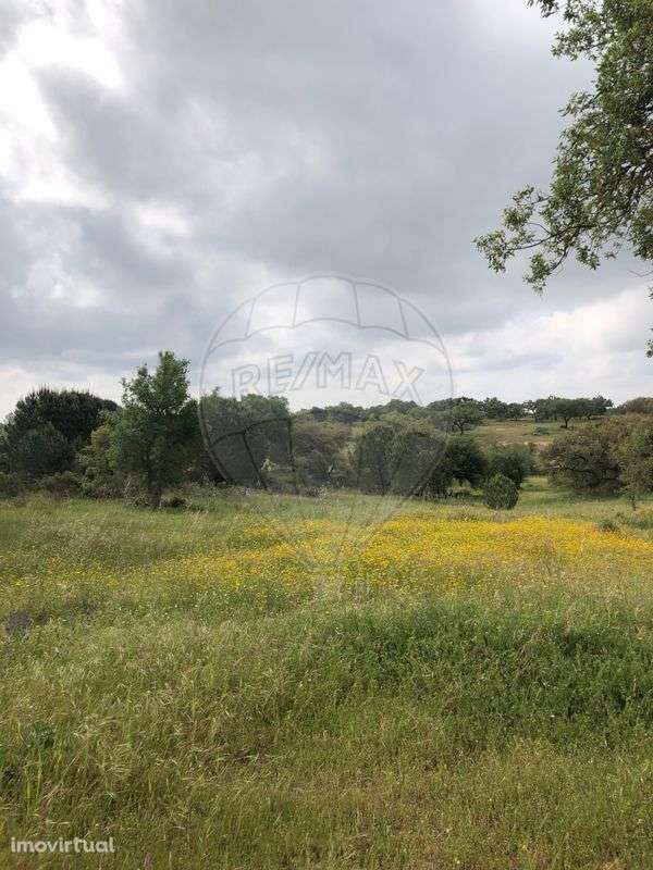 Terreno  para venda - Grande imagem: 2/5