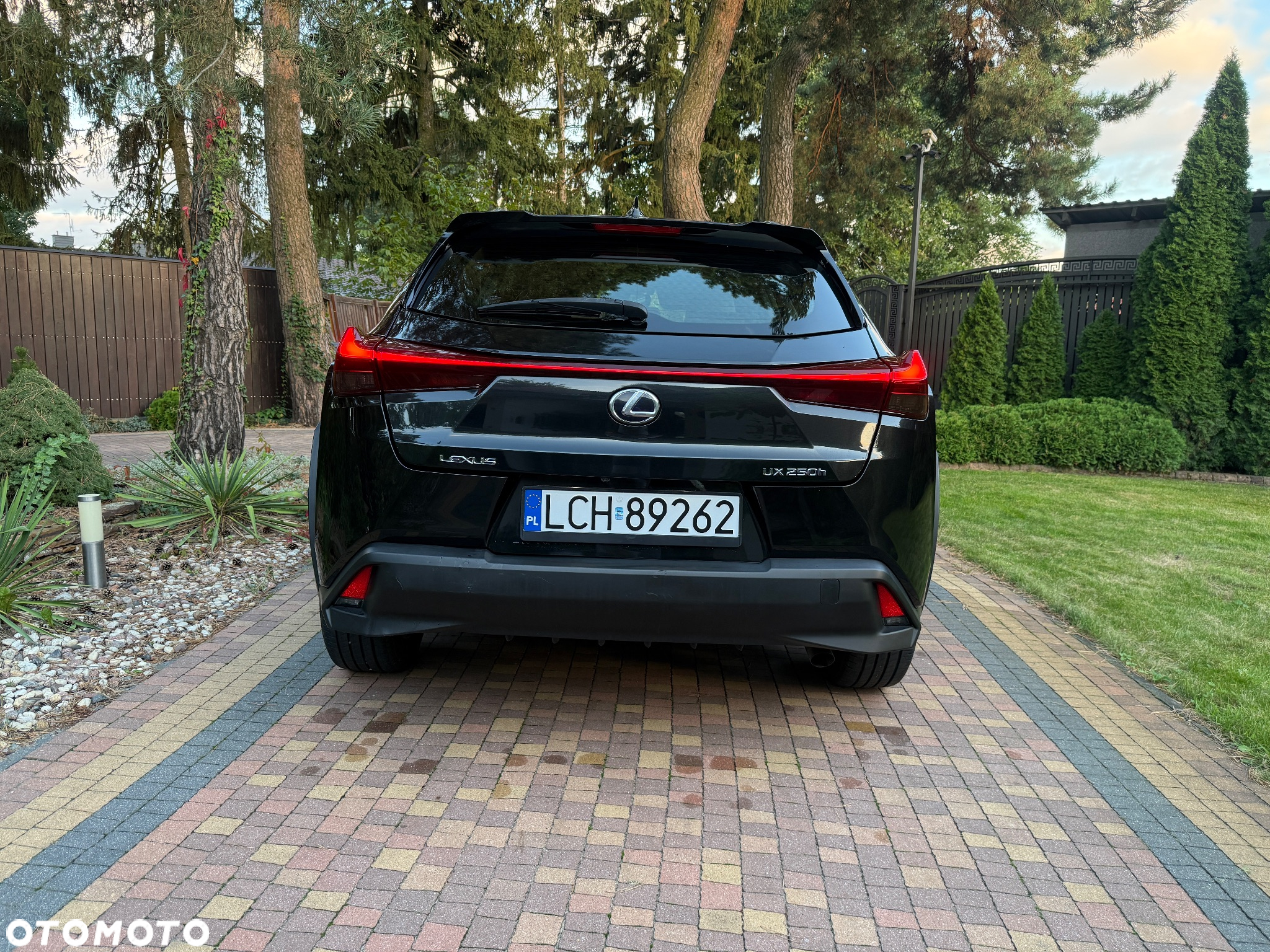 Lexus UX 250h Business Edition - 6