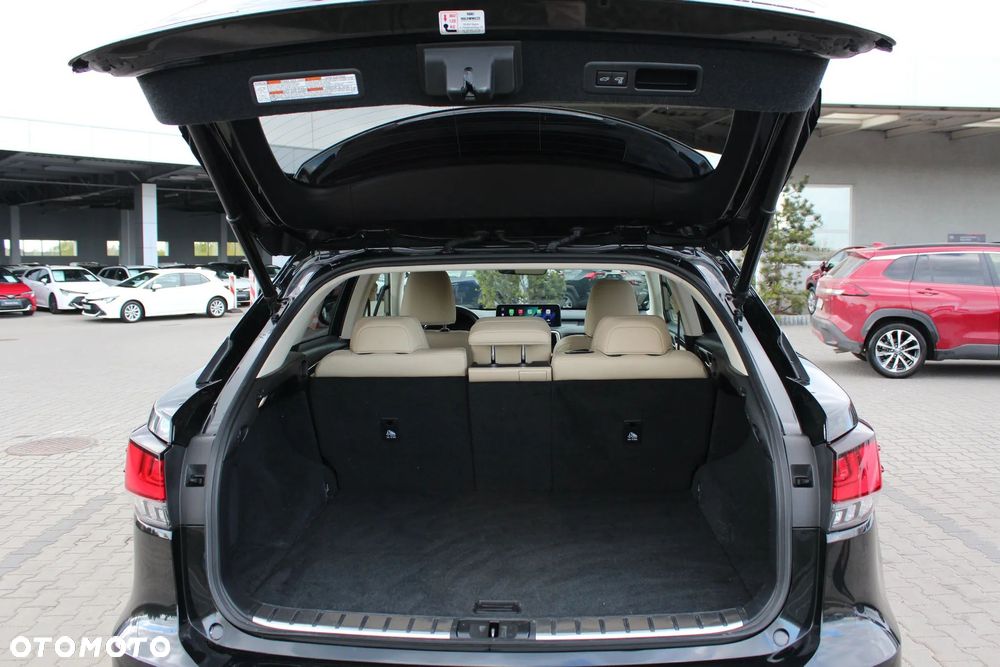 Lexus RX 300 Business Edition + - 10