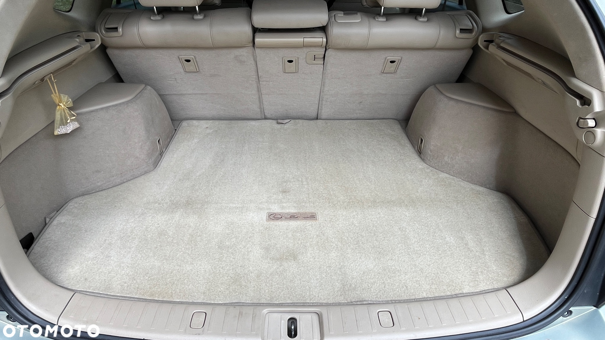 Lexus RX - 28