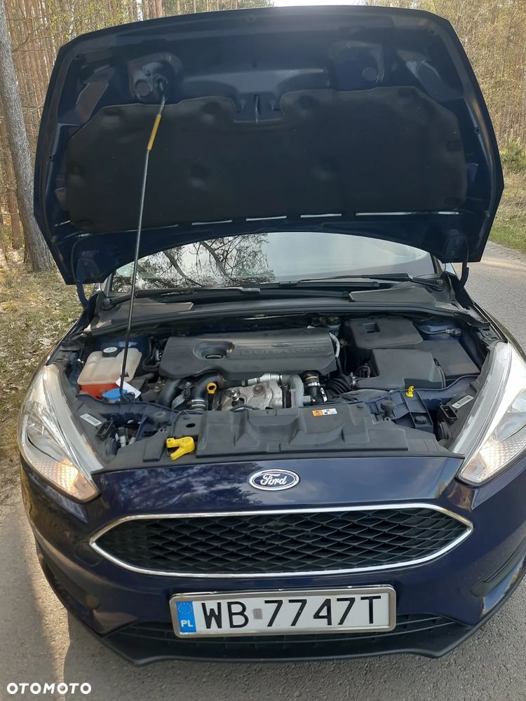 Ford Focus - 30