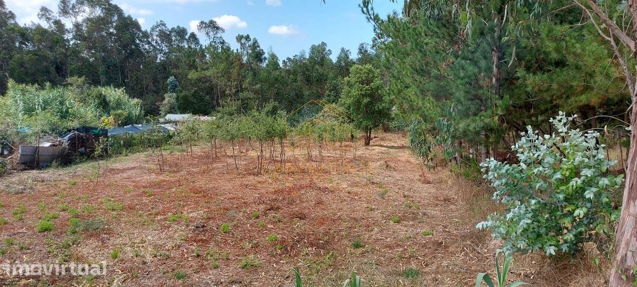 Terreno  - Quintais de Asseiçó, Paião - Grande imagem: 3/7