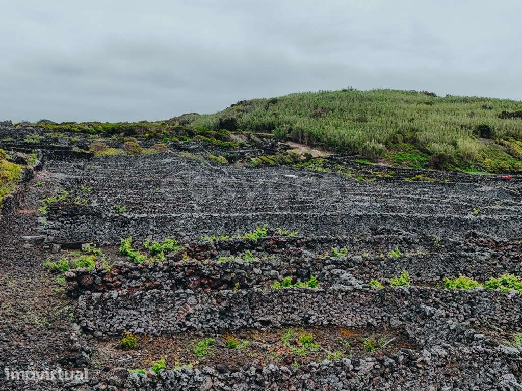 Terreno Único com Vista Mar e Montanha, Formosinha - Madalena do Pico - Grande imagem: 5/17