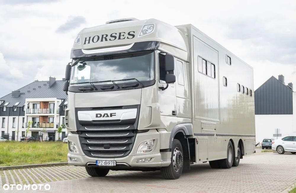 DAF - 3