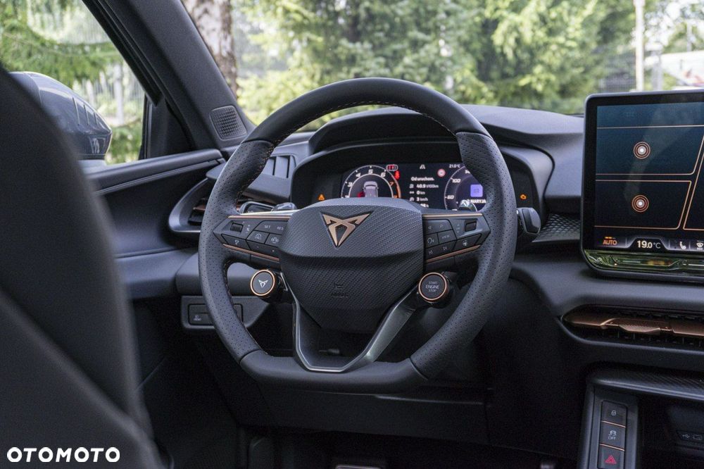 Cupra Terramar 2.0 TSI 4Drive Advantage Edition DCC DSG - 22