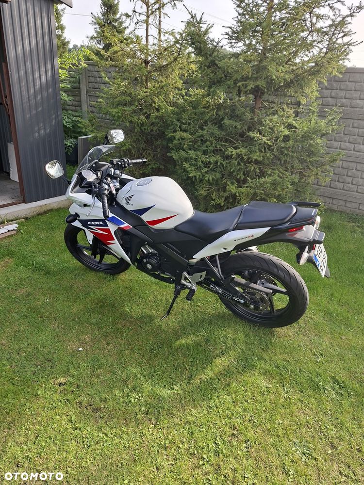 Honda CBR - 5