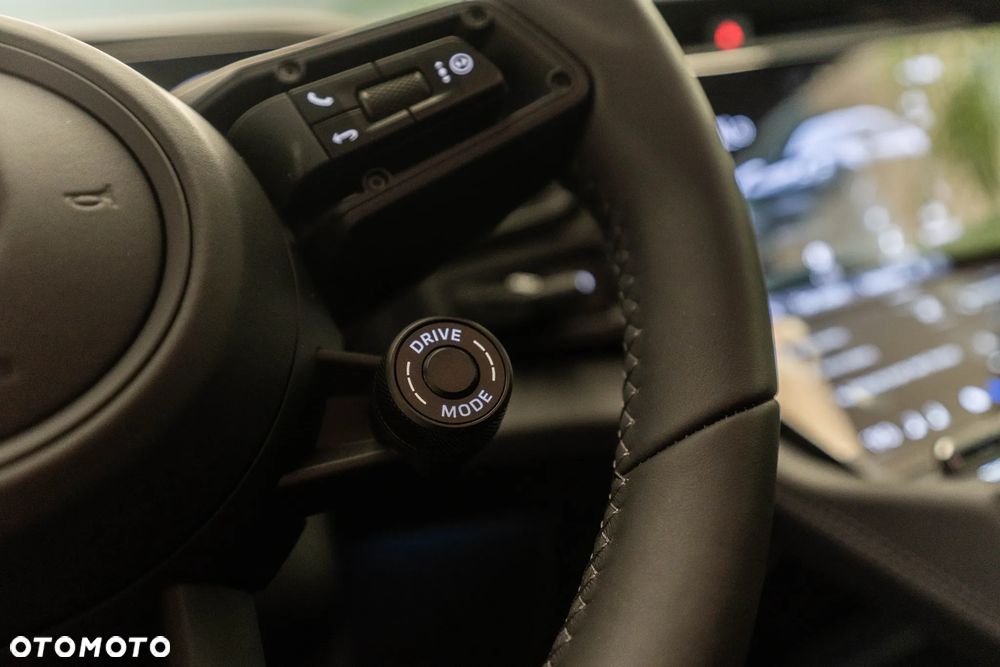 Porsche Cayenne - 19