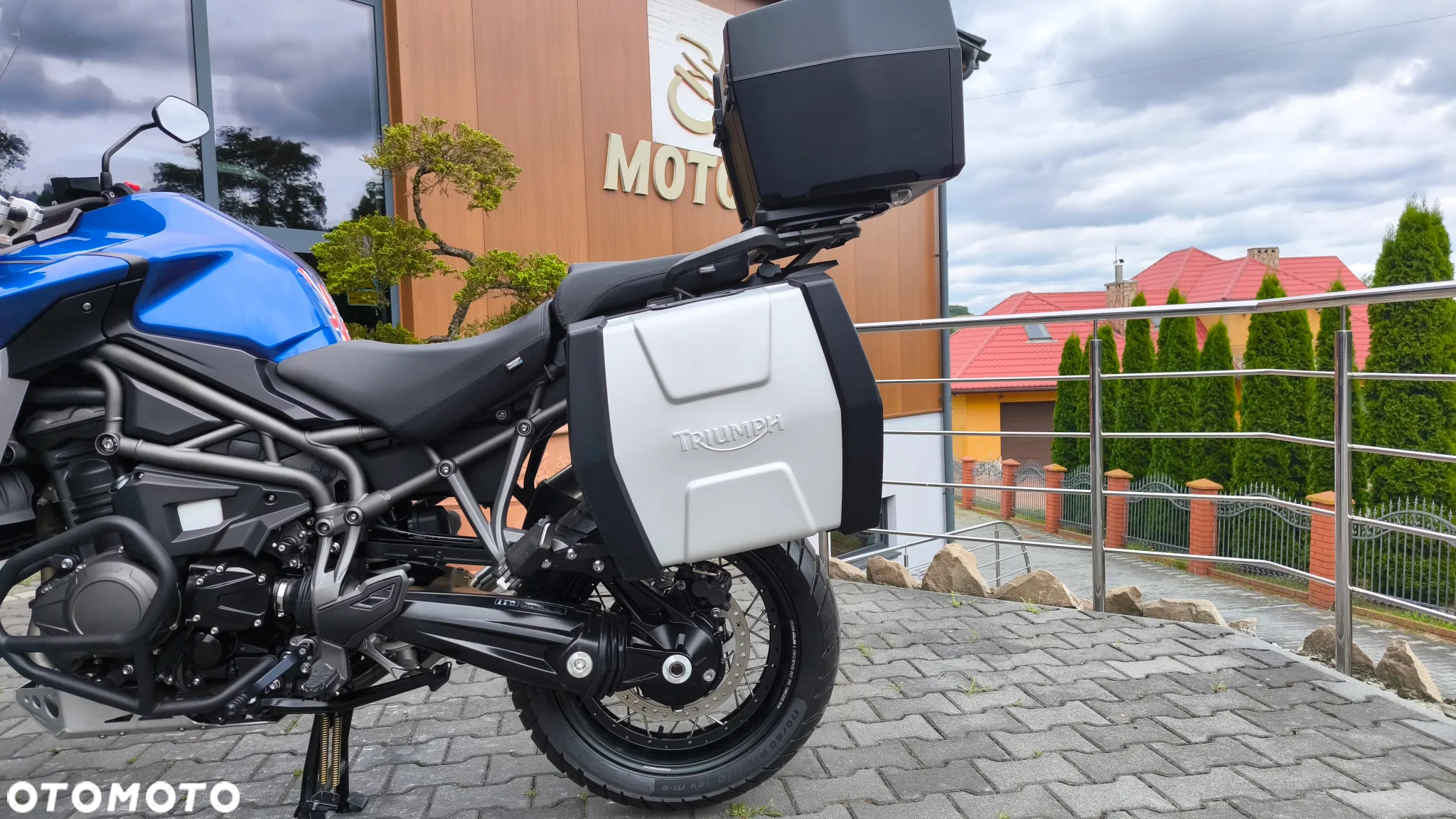 Triumph Tiger - 16