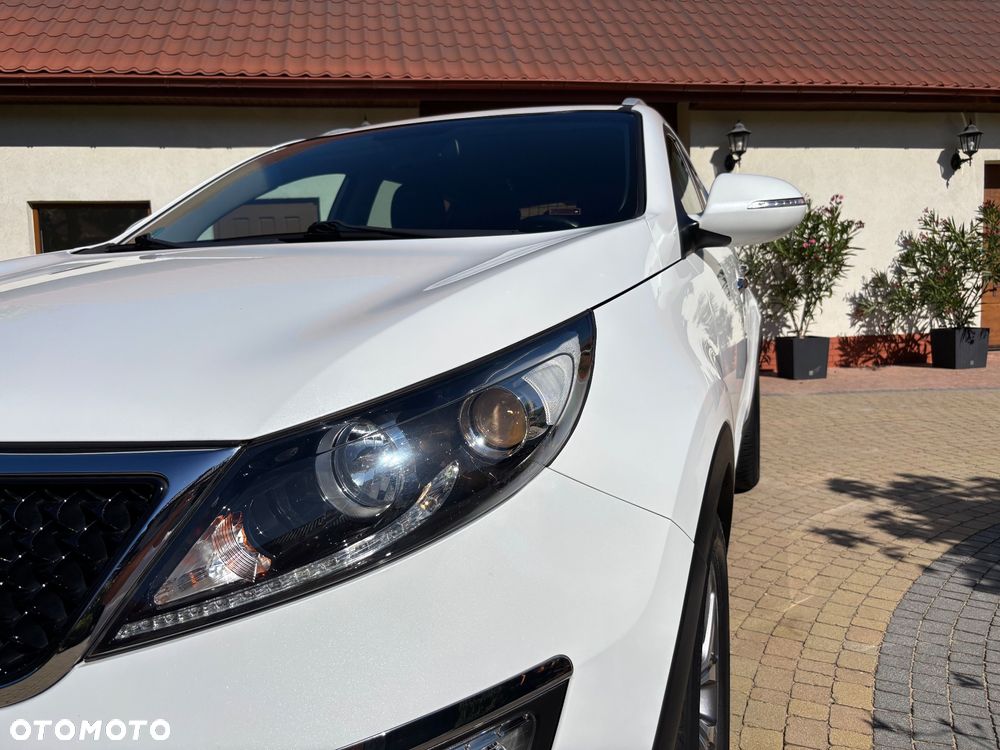 Kia Sportage - 32