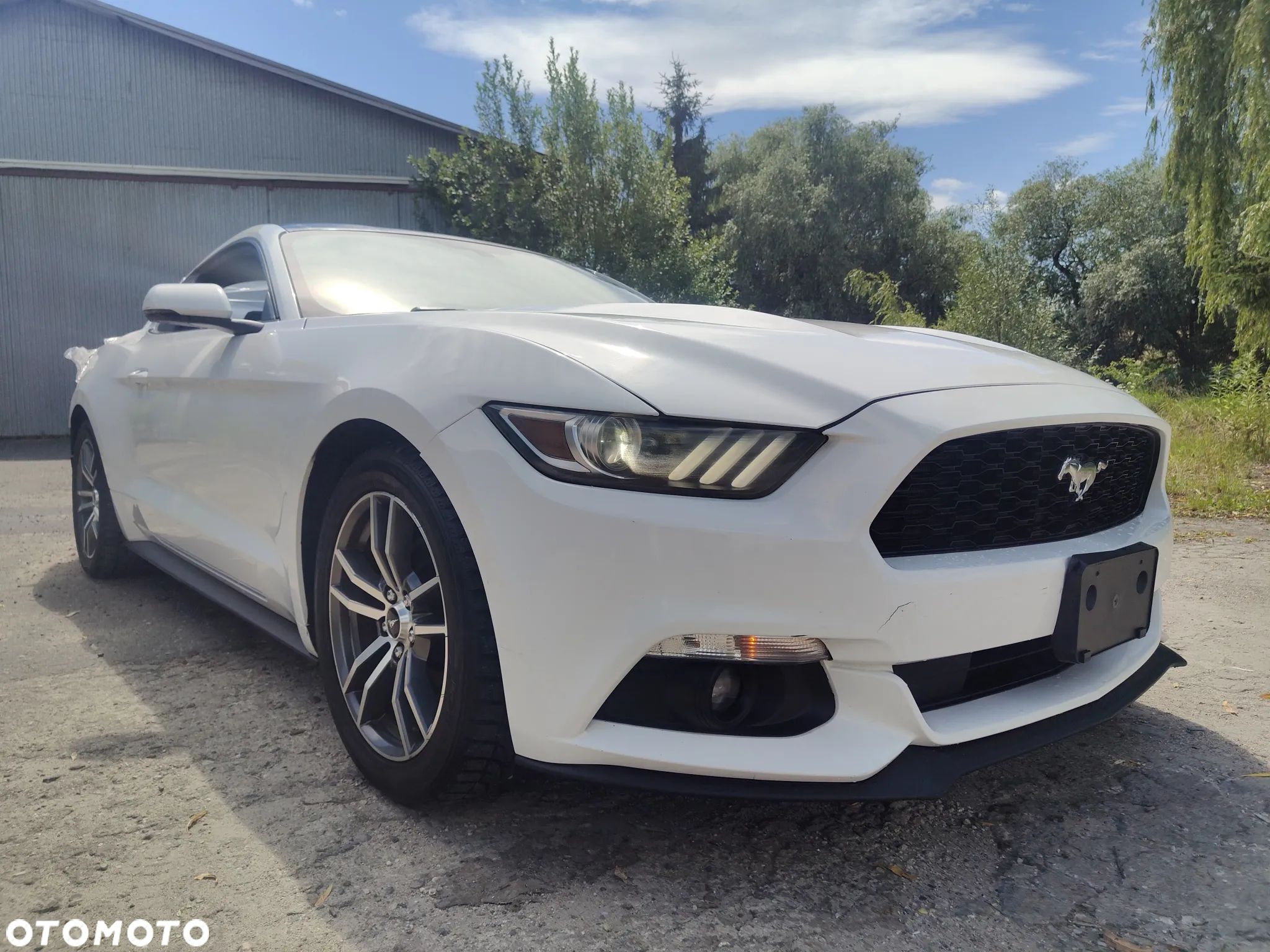 Ford Mustang 2.3 Eco Boost - 1