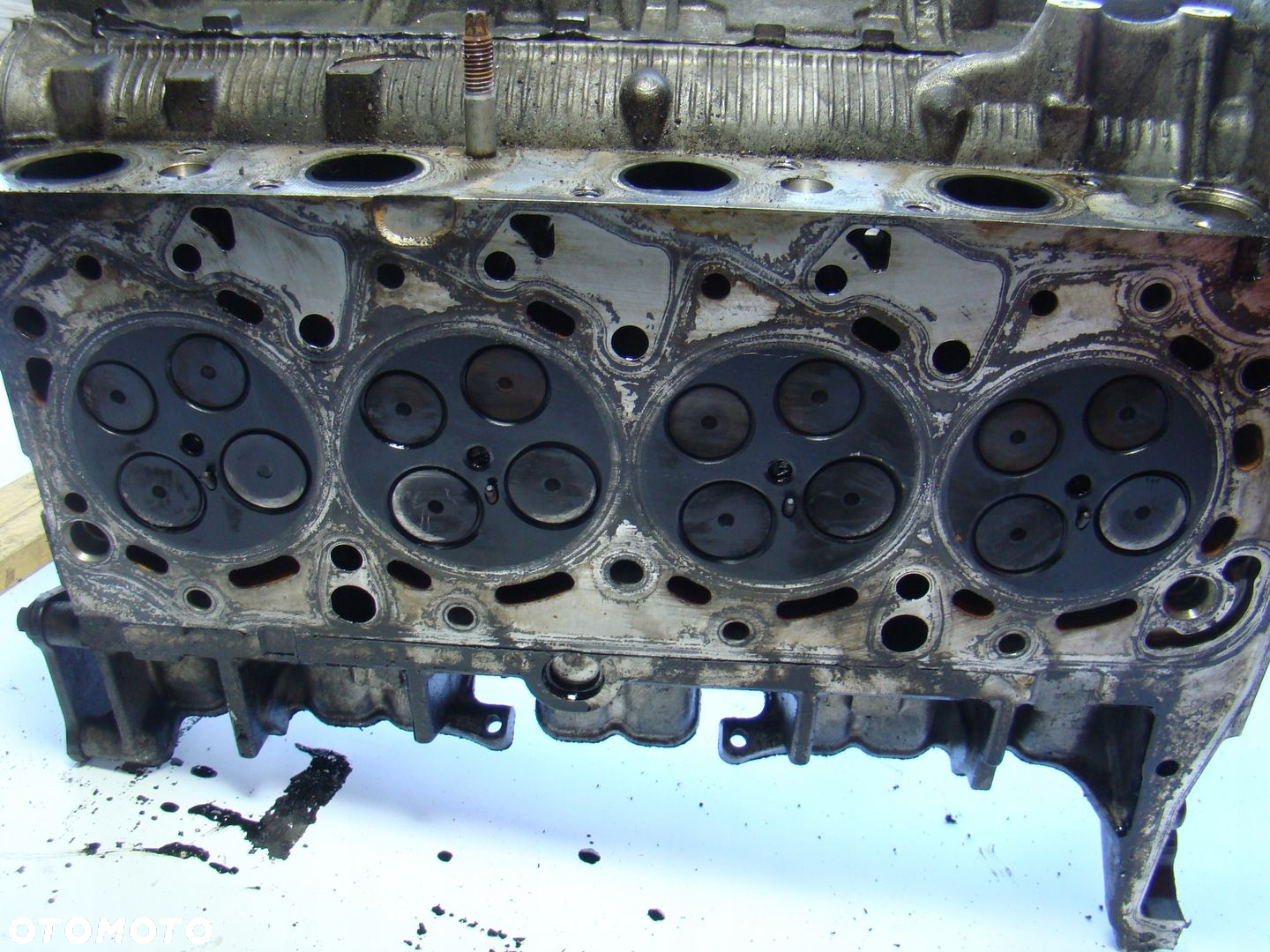 Kompletna głowica Ford Transit 2.2 EU 5 tył napęd RWD 06- BK3Q6K537A1C - 5