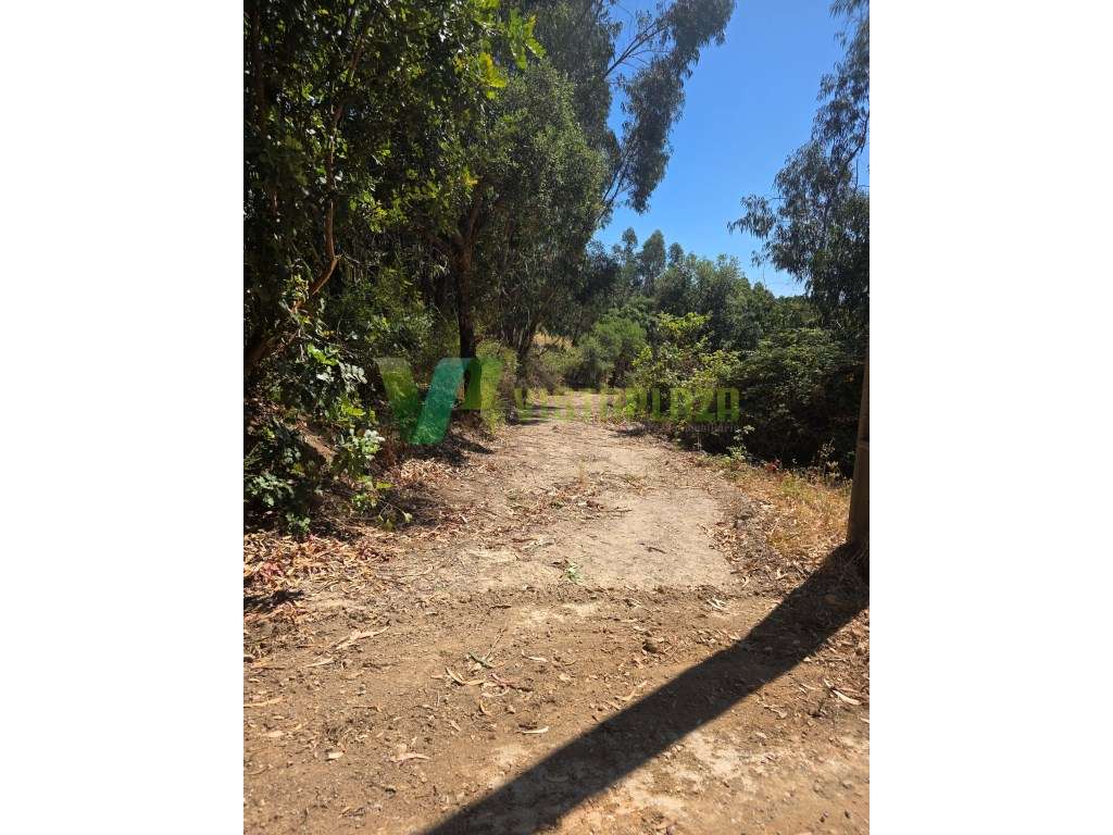 Terreno Misto, com Ruína, Monchique, Algarve - Grande imagem: 3/17