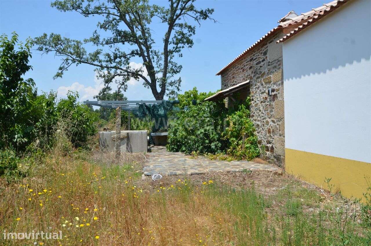 Terreno / Fundão, Salgueiro - Grande imagem: 3/3