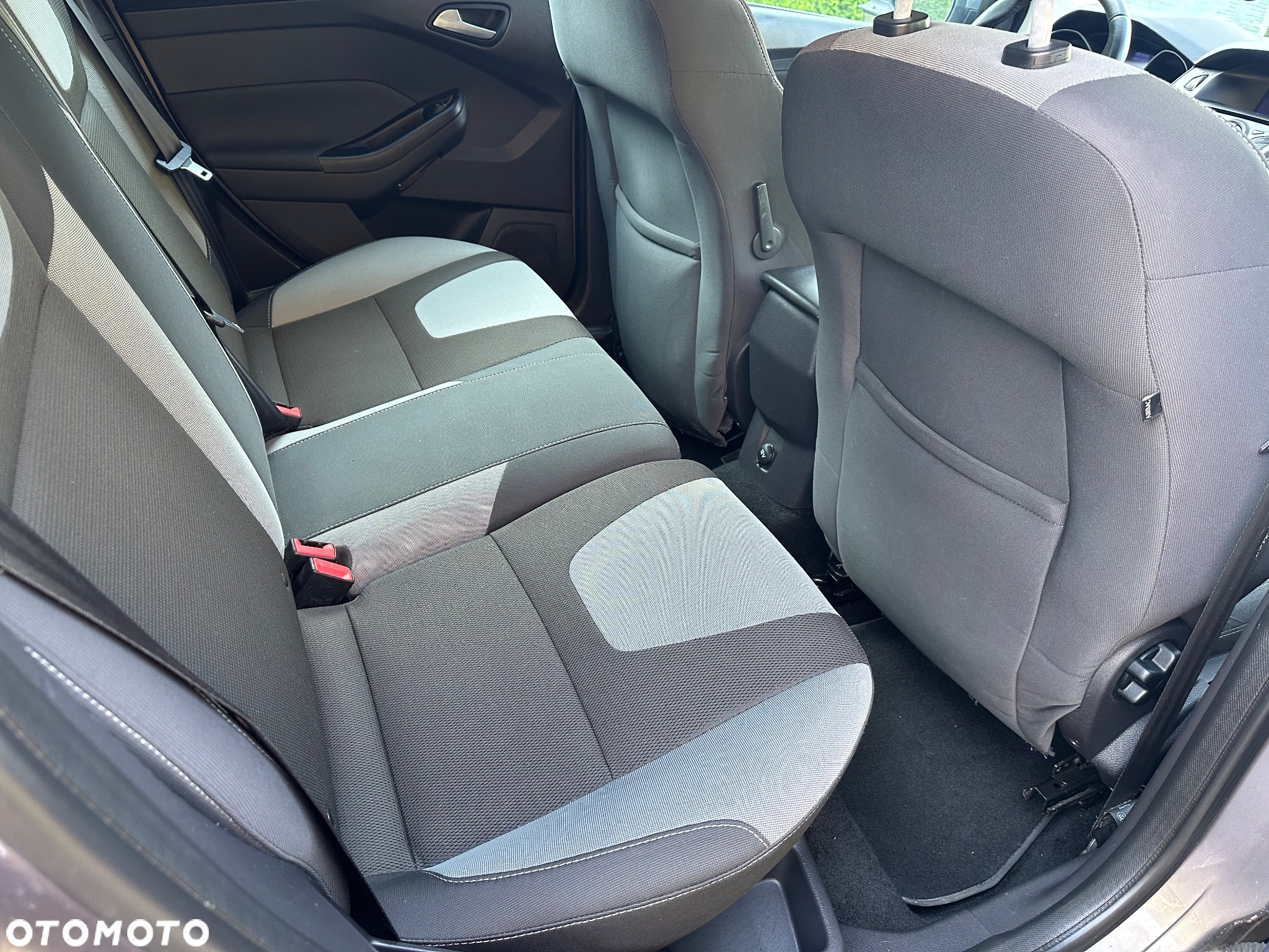 Ford Focus - 5