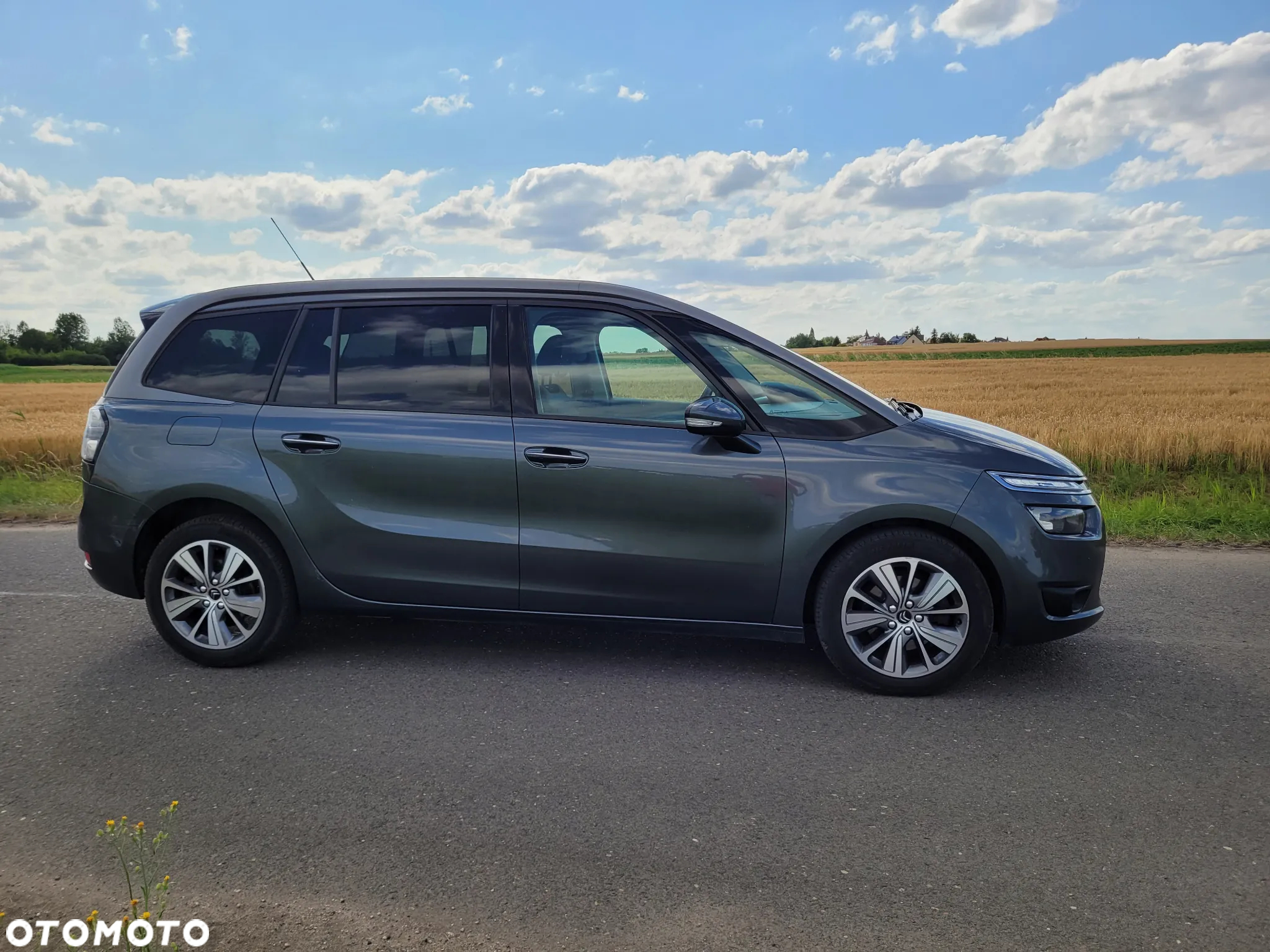 Citroën C4 Grand Picasso - 6