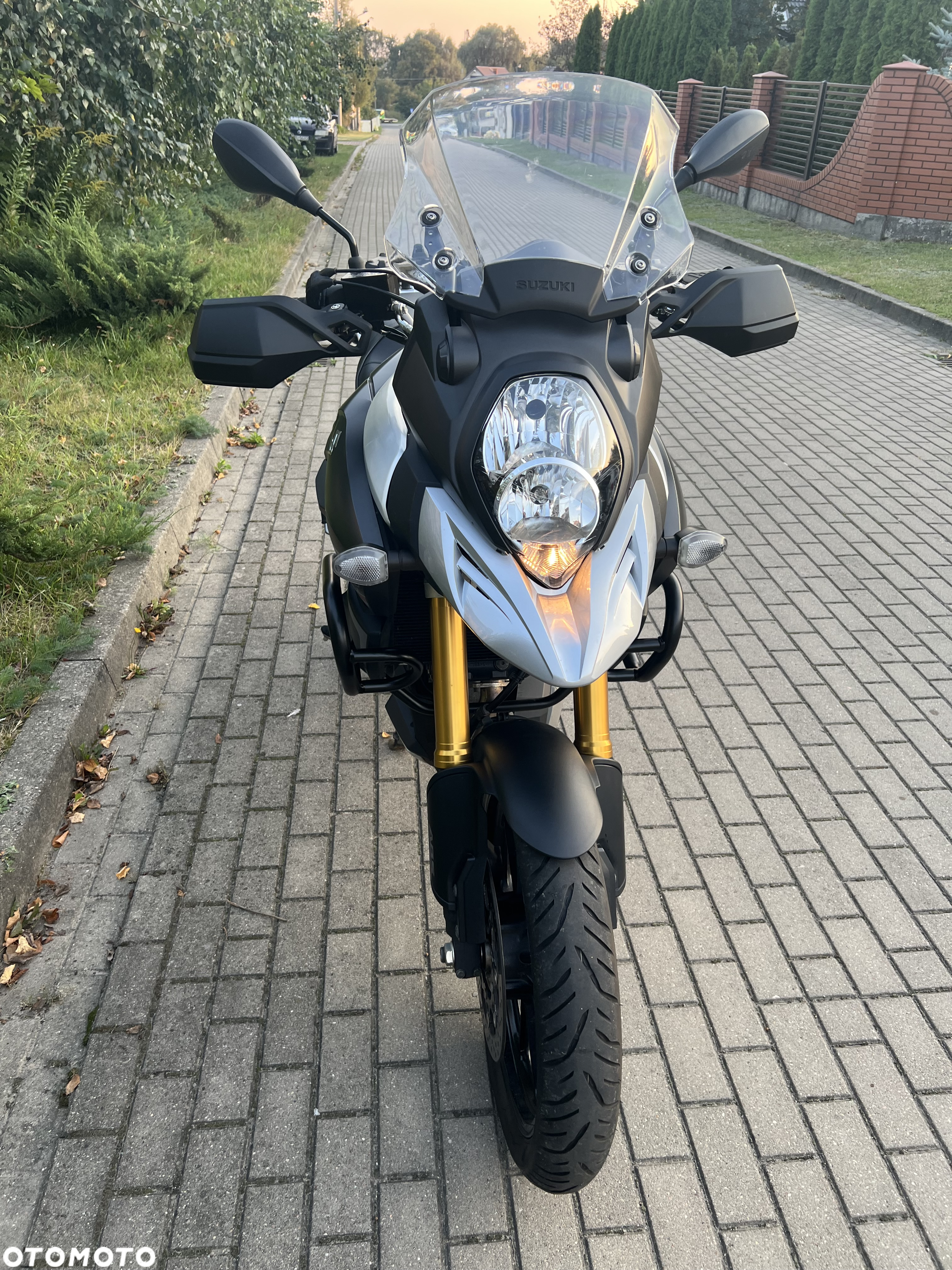 Suzuki DL - 10
