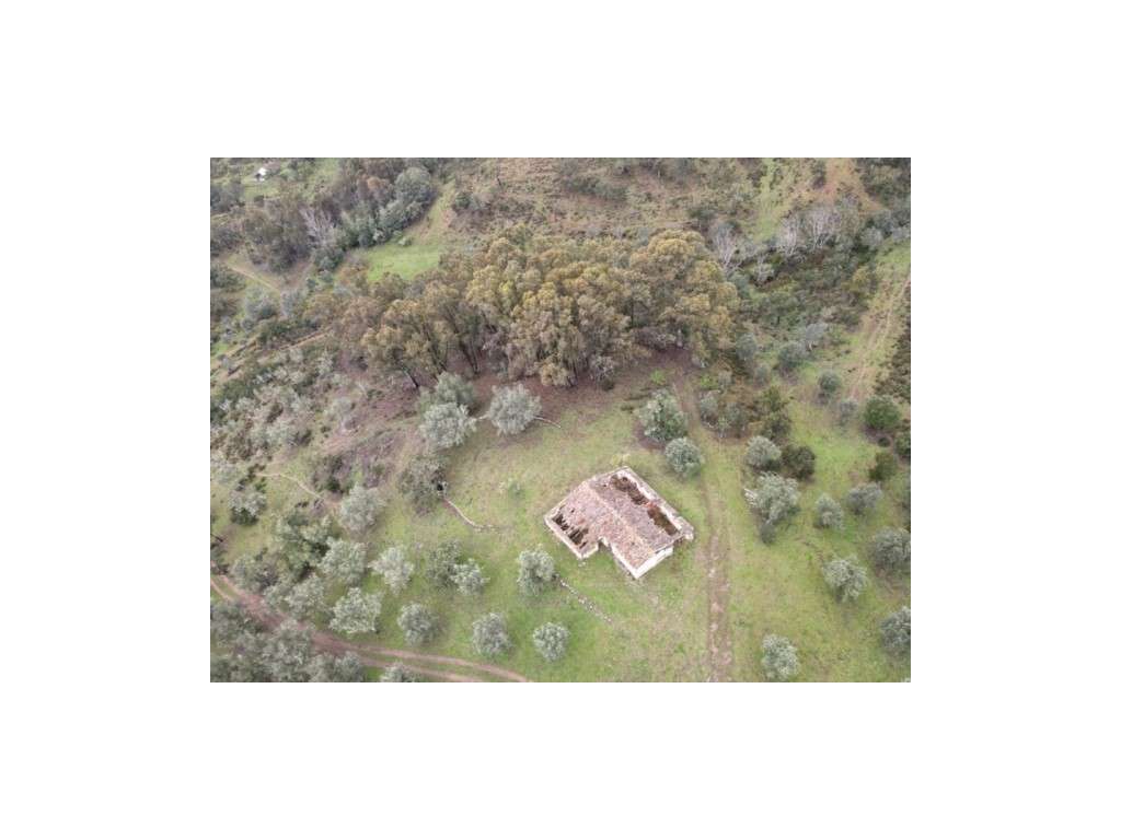 Herdade com 60ha em Grândola - Grande imagem: 2/28