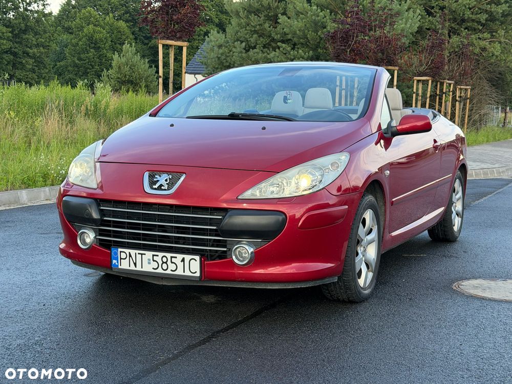 Peugeot 307 - 7