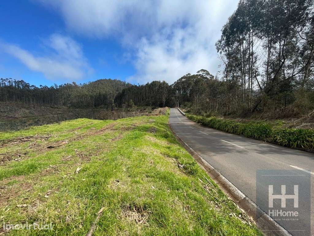 Terreno Rústico com 36.312 m2 no Campanário, Ribeira Brava - Grande imagem: 3/12