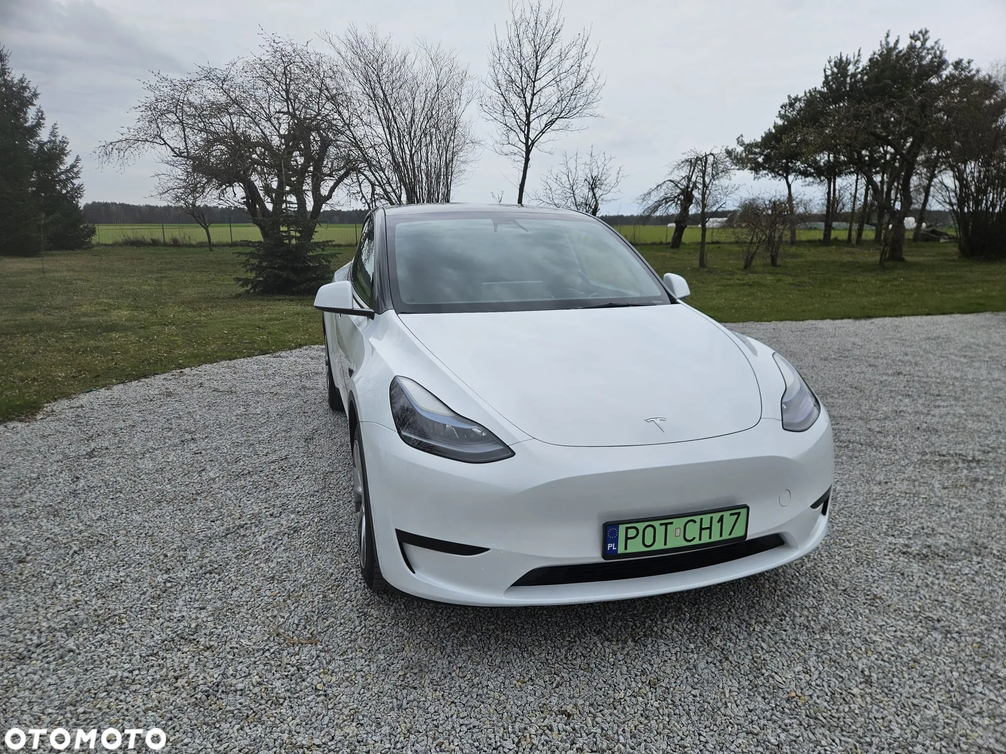 Tesla Y Model RWD - 8