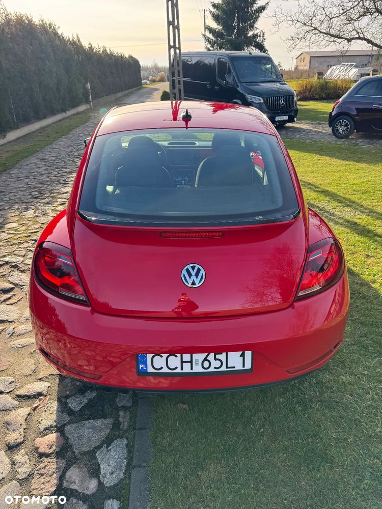Volkswagen Beetle - 7