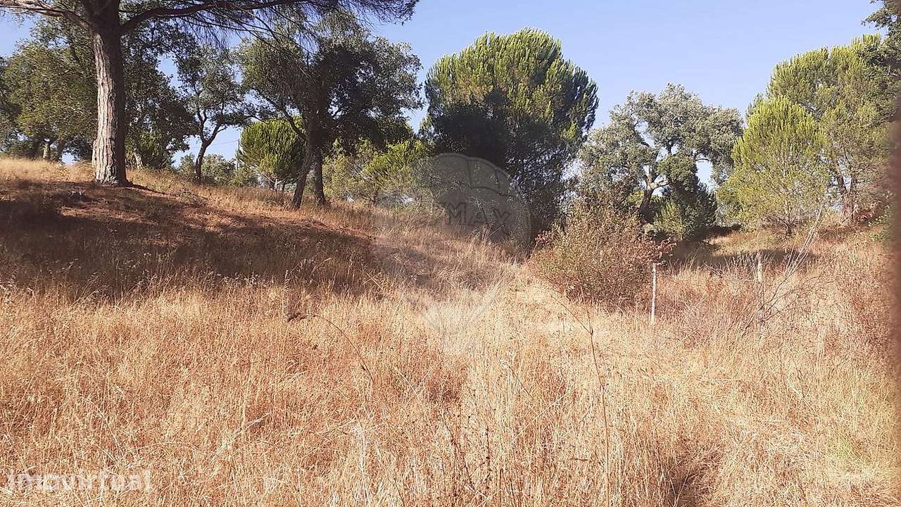 Terreno  para venda - Grande imagem: 5/8