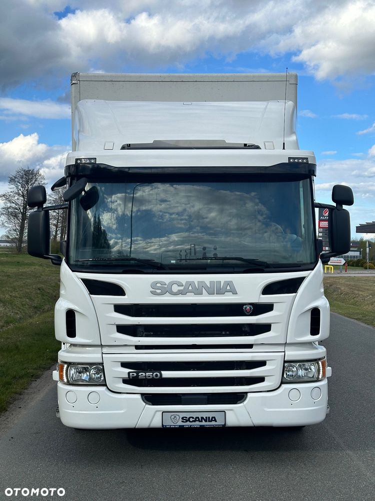 Scania P250 euro6 kontener 8.2 dzienna automat winda - 11