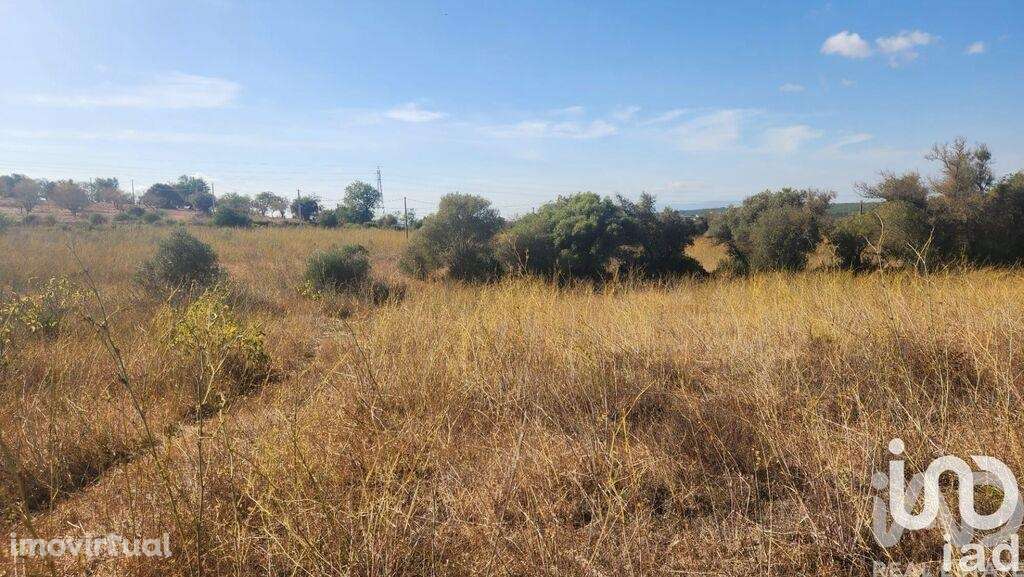 Terreno Agrícola em Algoz e Tunes - Grande imagem: 3/17