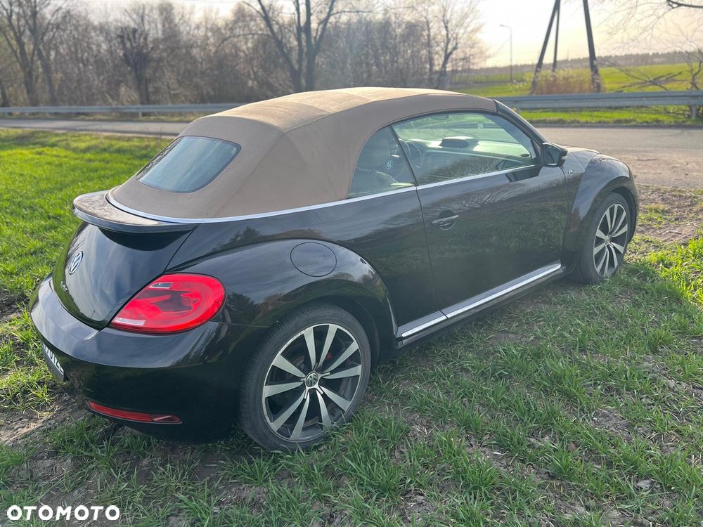 Volkswagen Beetle - 3