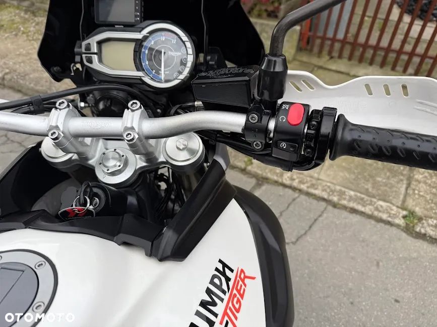 Triumph Tiger - 14