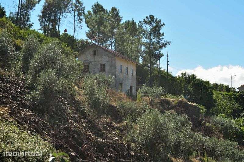 Casa antiga e terreno - Grande imagem: 5/11