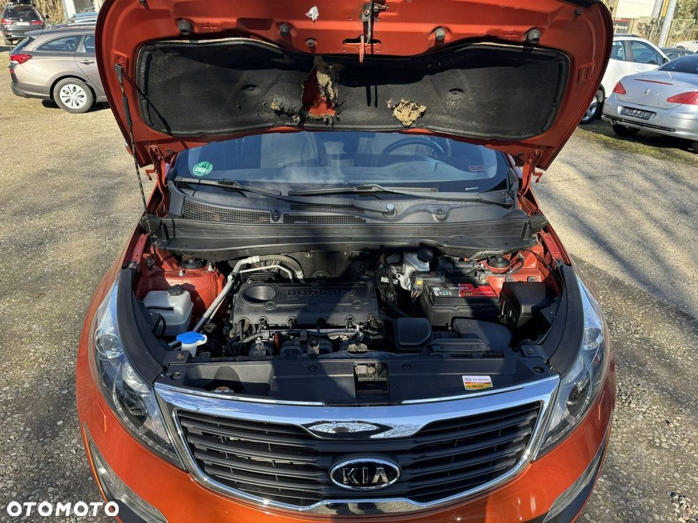 Kia Sportage - 36