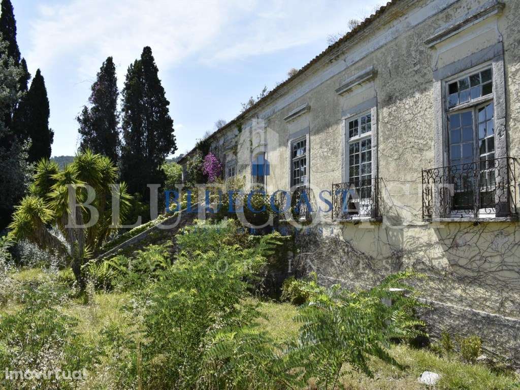 Quinta Histórica com Palacete Histórico em Setúbal - Grande imagem: 3/16
