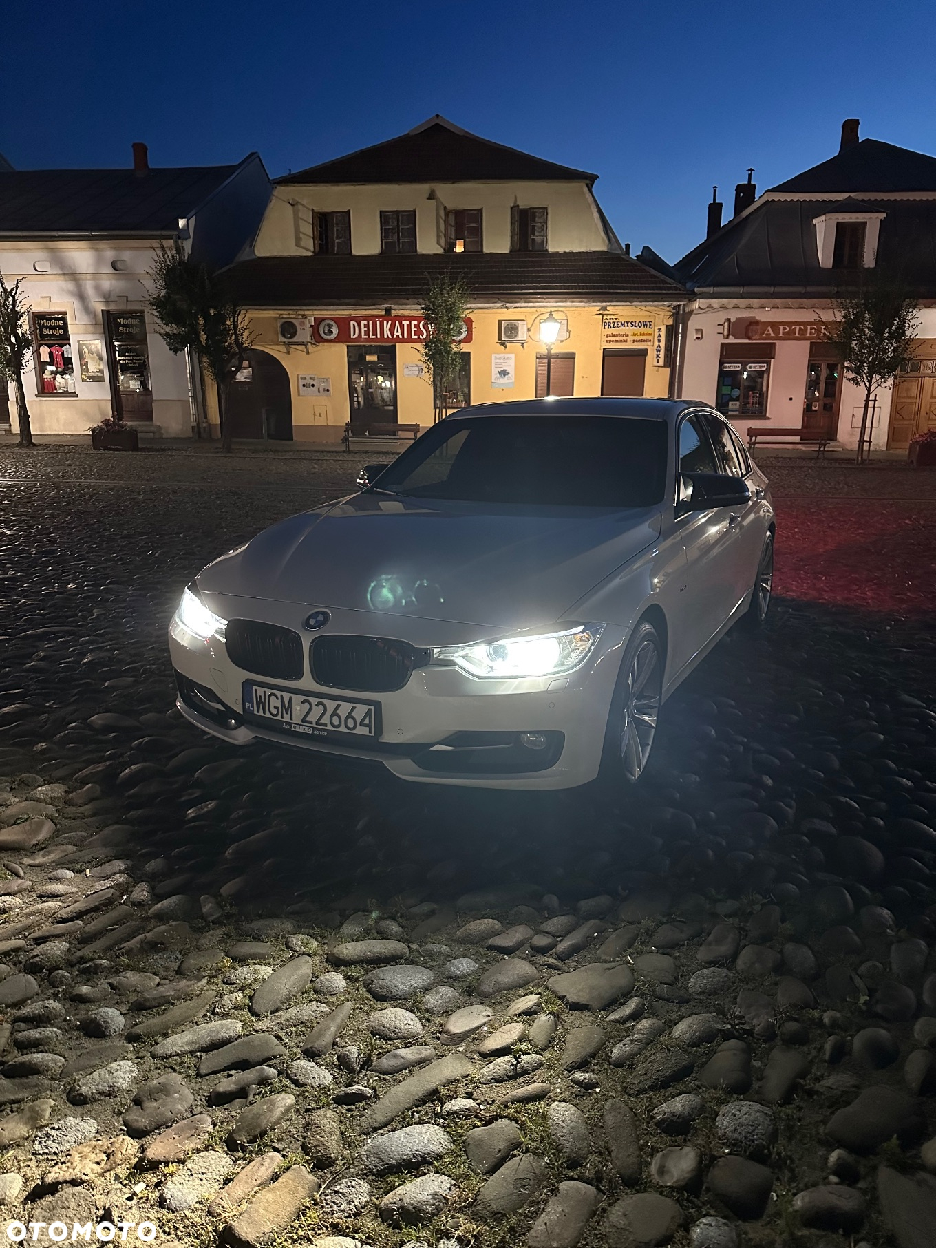 BMW Seria 3 - 33