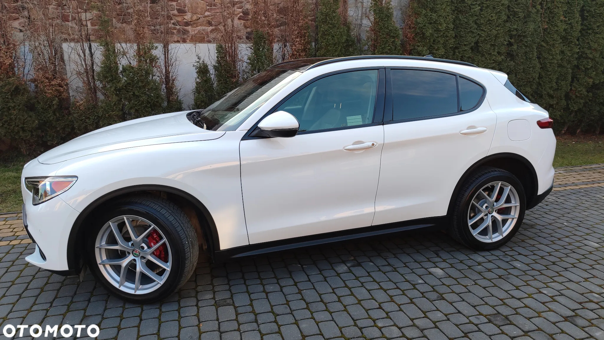 Alfa Romeo Stelvio 2.0 Turbo B-Tech Edition Q4 - 17