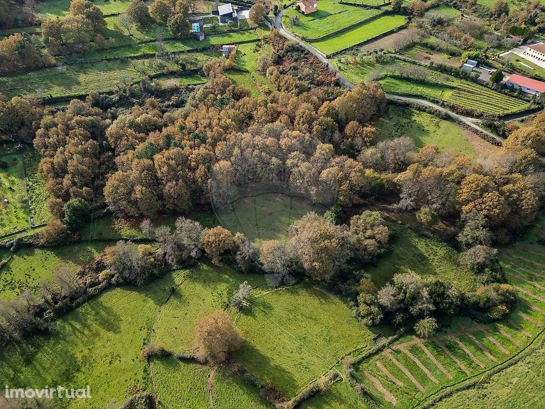 Terreno  para venda - Grande imagem: 2/50